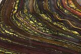 Tiger Iron Stromatolite Stand Up - Billion Years #354889-2